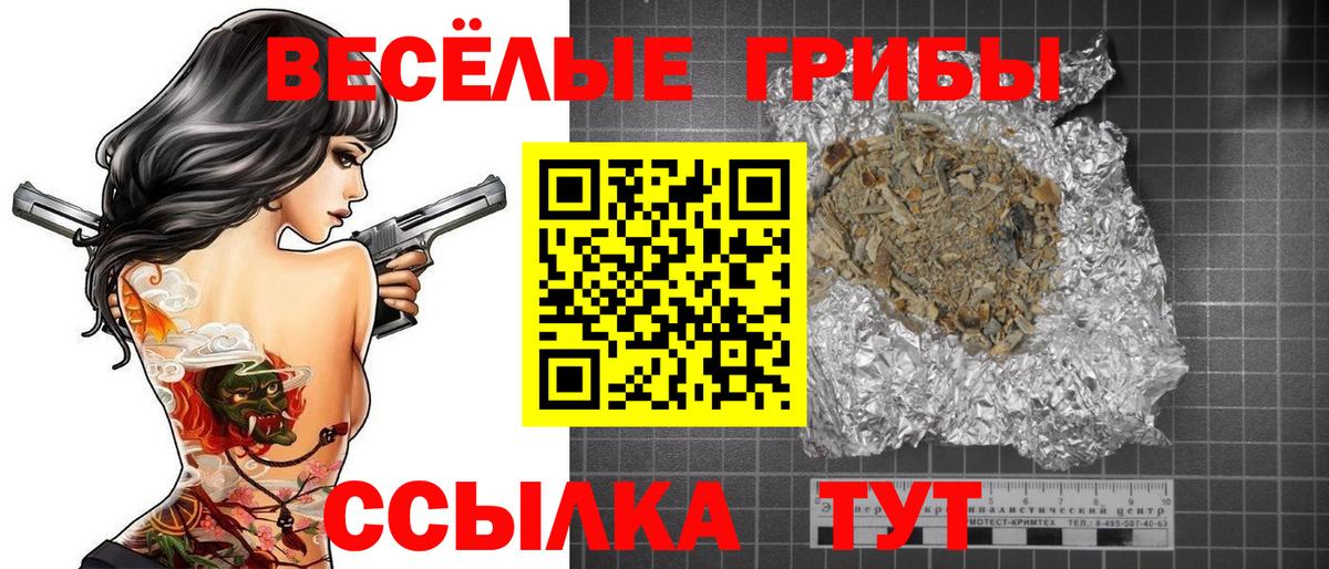 как найти   Галлюциногенные грибы Cubensis  Вход с VPN  Солнечногорск 